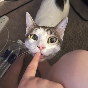 Meet your Posher, Jade